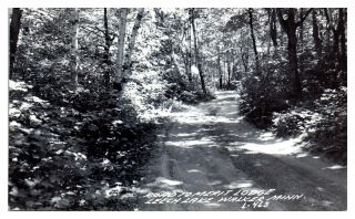 1950 Rppc Road To Merit Lodge,  Leech Lake,  Walker,  Mn Postcard 5n (3) 16