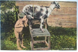 1920 Postcard " A Cuban Kid " Nude Native Boy Nurses On A Goat