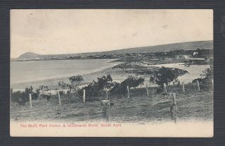 South Australia 1900s Bluff Port Victor Postcard To Parkside Unley