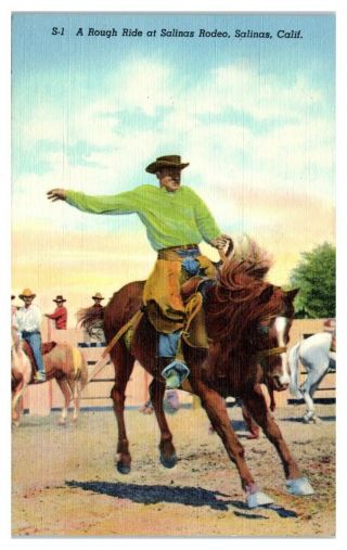 A Rough Ride At Salinas Rodeo,  Salinas,  Ca Postcard 5f3