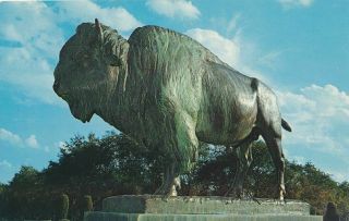 Giant Buffalo - Patriarch Of The Great Plains - Lincoln Ne,  Nebraska - Roadside