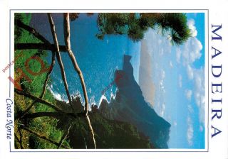 Picture Postcard,  Madeira,  Costa Norte
