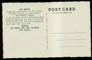 1950 ' s Jim White Discoverer and Explorer of Carlsbad Caverns Book Promotion RPPC 2