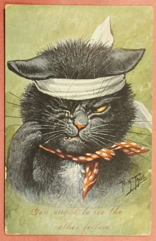 Dr Who 1907 Pc Cat " You Ought To See The Other Fellow " Thiele D612