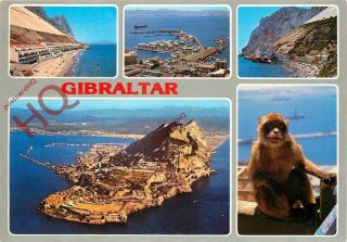 Picture Postcard; Gibraltar (multiview)