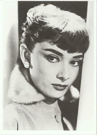 Audrey Hepburn In The 1950s Closeup Modern Postcard 3