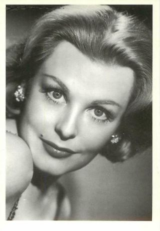 Arlene Dahl Actress In The 1950s Modern Postcard