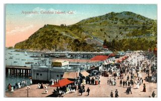 Early 1900s Aquarium,  Catalina Island,  Ca Postcard 262