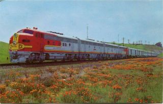 (172) Santa Fe Railroad Chief Train California Poppy Field 1950s Postcard