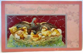 1910 Postcard Easter Greetings,  Chicken With Wings Around Chicks