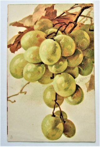 A/s C.  Klein Big Green Grapes Tuck Postcard