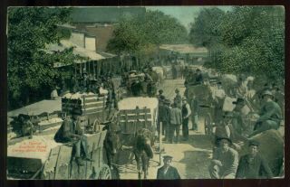 1912 A Typical Southern Scene During Cotton Time Photo Postcard
