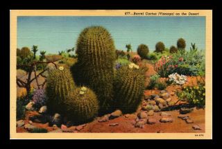 Us Linen Postcard Barrel Cactus And Flowers On The Desert