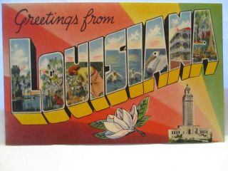 1940 Large Letter Postcard " Greetings From Louisiana " W / Sites