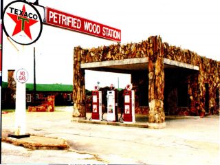 Postcard Old Texaco Gas Station " The Petrified Wood Station "