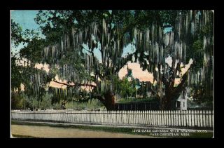 Dr Jim Stamps Us Live Oaks Spanish Moss Pass Christian Mississippi View Postcard