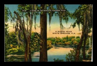 Us Linen Postcard Scene On The Suwannee River White Springs Florida