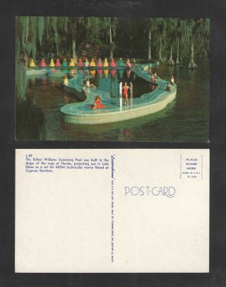 1970s The Esther Williams Swimming Pool Cypress Gardens Florida Postcard