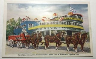 Vintage Advertising Postcard " Wilson & Co " Chicago Ill,  Clydesdales Unposted