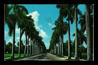 Dr Jim Stamps Us Royal Palms Mcgregor Boulevard Ft Myers Florida Postcard