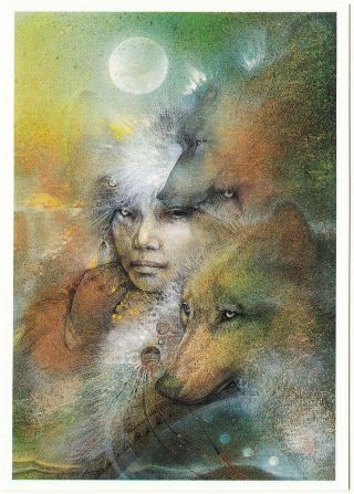 In The Company Of Wolves By Susan Seddon Boulet Visionary Wolf Art Postcard