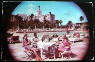 1952 Pretty Women At Roney Plaza Hotel’s Olympic Pool Miami Beach Fl