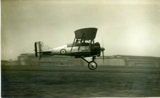 Gloster Gamecock - Old Real Photo Postcard View
