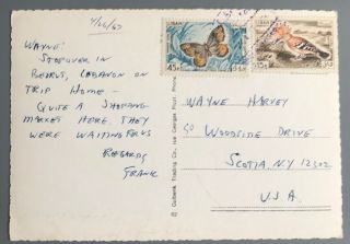 Lebanon Vintage Color Postcard Bird Butterfly Stamps Beirut To Usa,  Gulbenk 60s