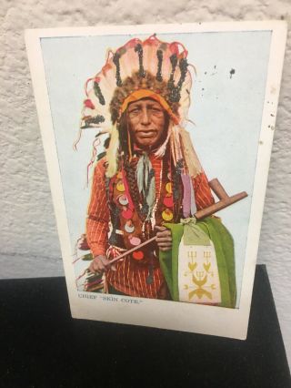 Vtg Native Americana Postcard Chief Skin Cote American Indian C.  1908