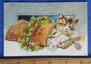 Vintage A Merry Christmas Postcard Cat In Us Mail Embossed Xmas Cats Series