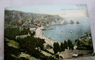 California Ca Catalina Island Avalon Postcard Old Vintage Card View Standard Pc