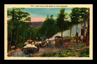 Dr Jim Stamps Us Mountain Campsite North Carolina Linen Postcard