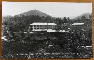 Vintage Real Photo Postcard General View Of Tea Estate Showing Factory Ceylon