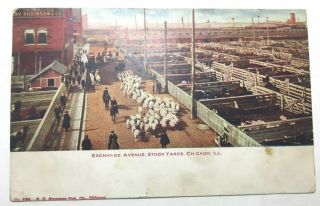 Vintage Advertising Postcard " Exchange Ave Stock Yards Chicago.  " Ill Posted
