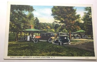 Vintage Postcards,  Allegany State Park,  N Y Cars,  C T American Art Colored 1920