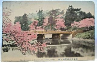 1910 Japanese Tint Postcard " Cherry Blossoms At Benkei - Bashi Akasaka,  Tokyo "