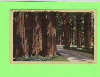 Redwood Highway - California - 1947 - Linen - C4