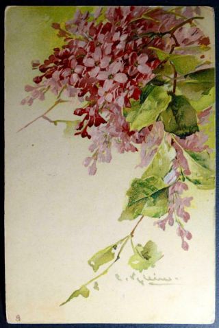 Postcard Artist Signed C Klein (catherine) Small Purple Flowers Tuck Series 1311