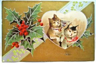 1909 Postcard A Joyful Christmas,  Kittens In Heart