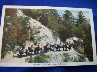 Donkeys On The Trail To Mt.  Lowe Pacific Electric Railway Pasadena Altadena