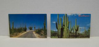 Vintage Postcard Set Of 2 Southwest Giant Saguaro Cactus