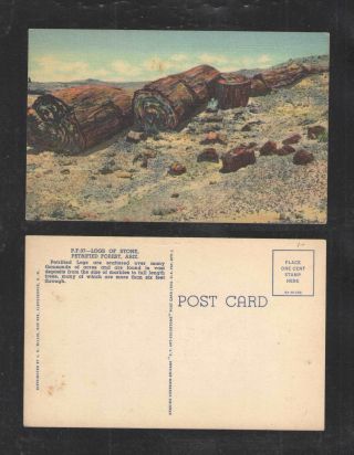1940s Logs Of Stone Petrified Forest Arizona Postcard