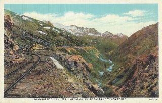 Vintage Postcard Showing Deadhorse Gulch - White Pass And Yukon
