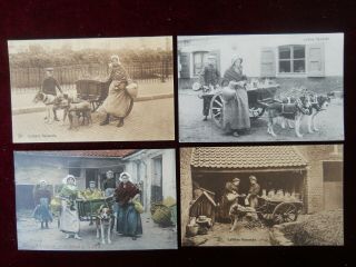Four Vintage Postcards,  Showing Belgian Dog - Drawn Milk Carts