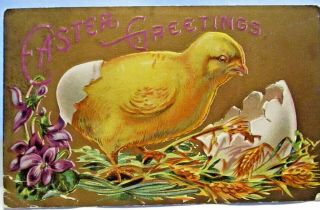 1910 Postcard Easter Greetings,  Baby Chick Hatched From Egg