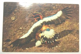Vintage Native American Postcard " Indian Eagle Dancer Pueblos Posted 1967