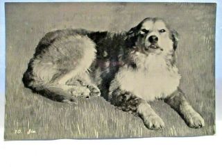 1910 Postcard Old Oregon Trail,  Jim,  Faithful Dog