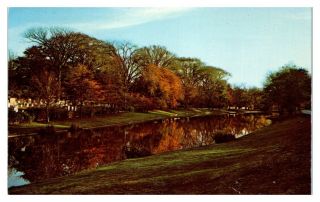 1950s/60s Town Pond,  East Hampton,  Long Island,  Ny Postcard 248