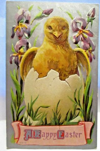 1910 Postcard Happy Easter,  Baby Chick In Egg,  Irises