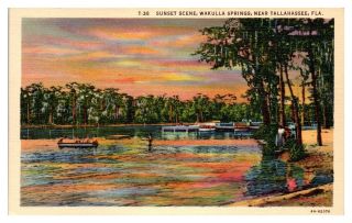Sunset Scene,  Wakulla Springs Near Tallahassee,  Fl Postcard 252